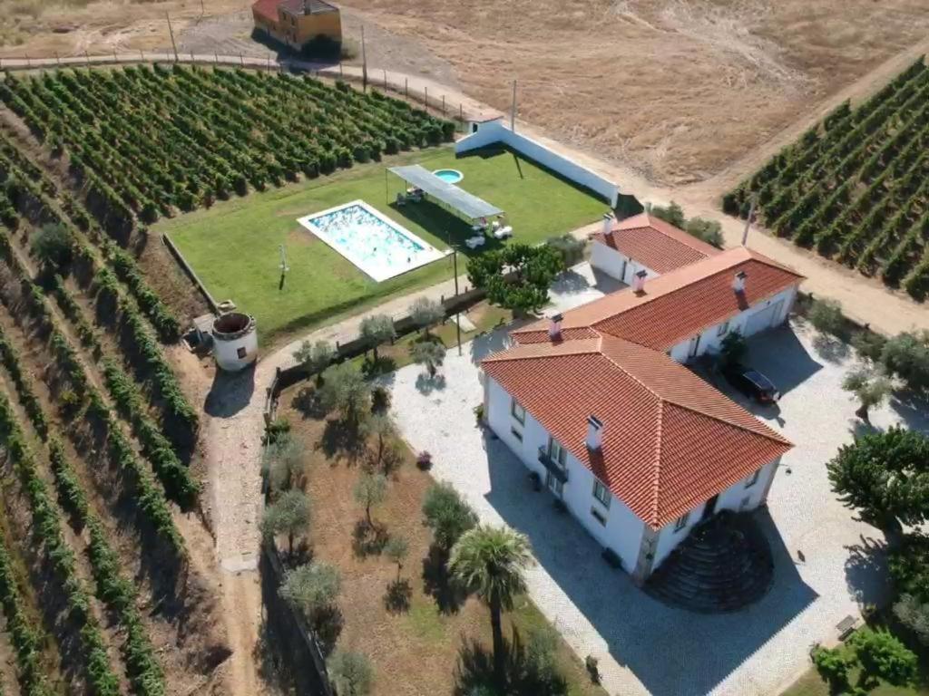 费洛尔镇Quinta Sta Luzia Carrascal别墅 外观 照片
